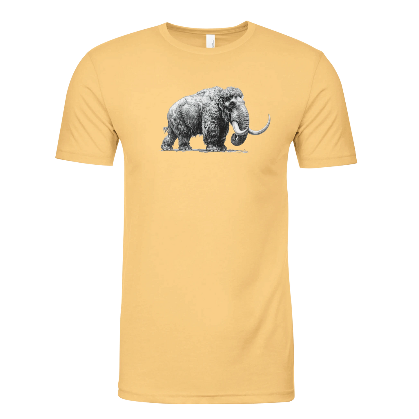 58542739-4f87-4db7-822e-19f635fa1bd7