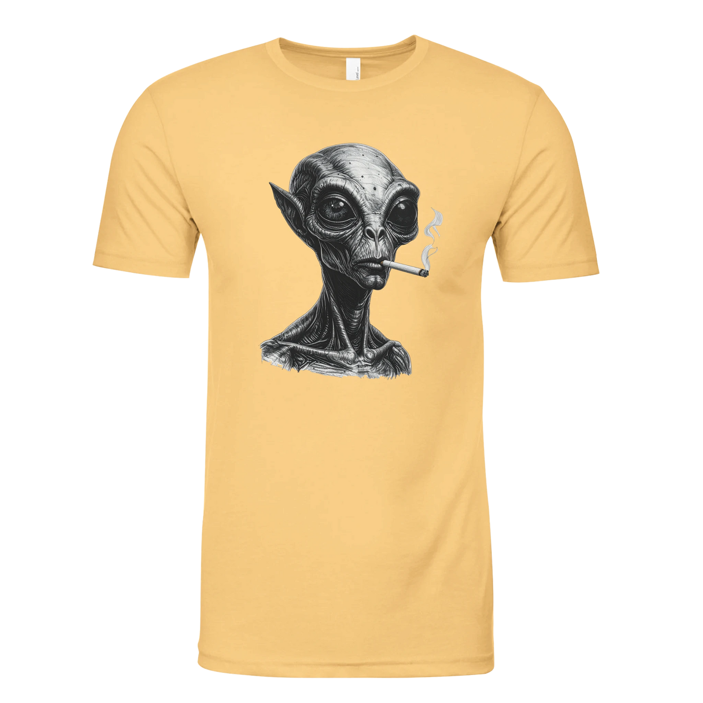 6a38b873-754b-4f52-8951-8e3cf4cdd0da