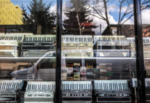Accordions For Sale