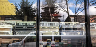 Accordions For Sale