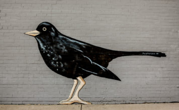 Black Bird On A Wall