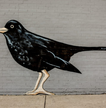 Black Bird On A Wall