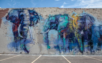 Elephants In Dallas
